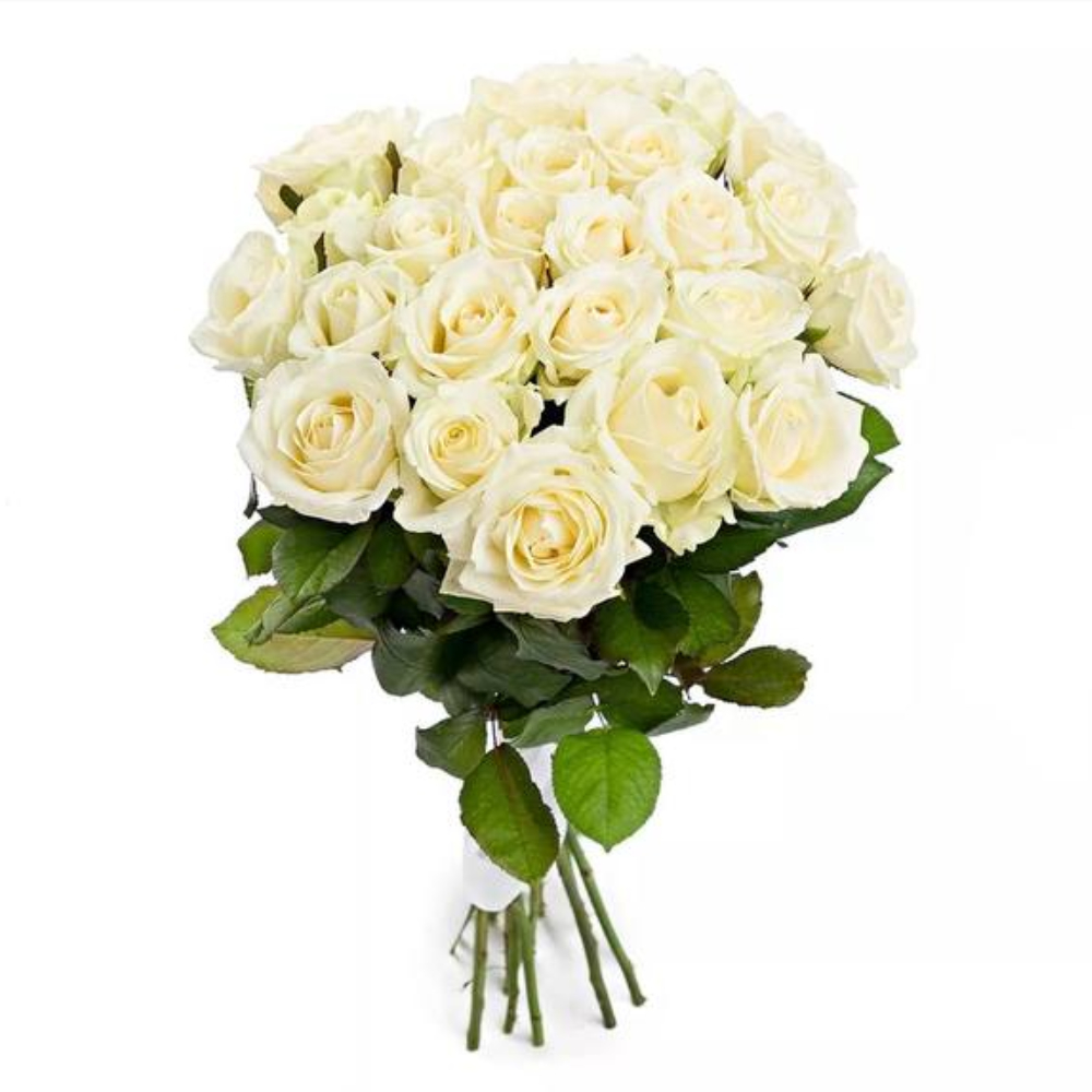 15 Белых роз